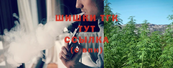 мдпв Верхний Тагил